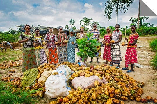 EMPLOIS JEUNE ELEVAGE ET AGRICULTRE